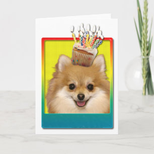 Birthday Cupcake - Pommeren Kaart