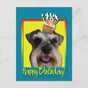 Birthday Cupcake - Schnauzer Briefkaart