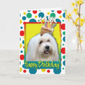 Birthday Cupcake - Tulear Coton Kaart (Gele Bloem)