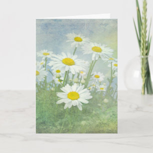 Birthday Daisy Field Kaart