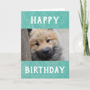 Birthday Dog Dad World's Best Ever Pet Photo Kaart