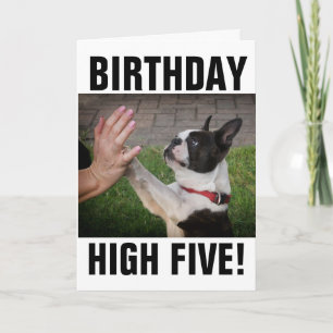 BIRTHDAY DOG HOOG VIJF FUNNYSKAART KAART