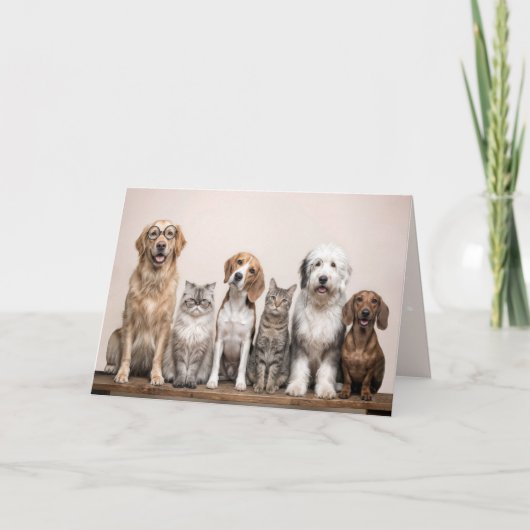 Birthday Dogs and Cats Kaart (Voorkant)