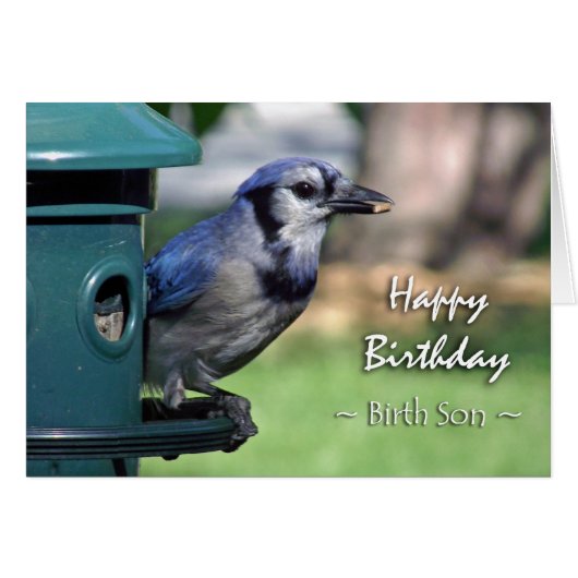 Birthday for Birth Son Blue Jay on Bird Feeder (Voorkant Horizontaal)