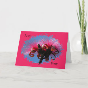 Birthday for Leap Year, Hot Pink Flowers Kaart