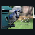 Birthday for Mom Mom, Blue Jay at Bird Feeder<br><div class="desc">Photograph of a Blue Jay at a bird feeder. Perfect for that special bird lover. Birthday card for a mom mom / grandma. Image and verse copyright ©  Shoaff Ballanger Studios.</div>