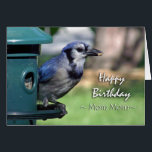 Birthday for Mom Mom, Blue Jay at Bird Feeder<br><div class="desc">Photograph of a Blue Jay at a bird feeder. Perfect for that special bird lover. Birthday card for a mom mom / grandma. Image and verse copyright ©  Shoaff Ballanger Studios.</div>