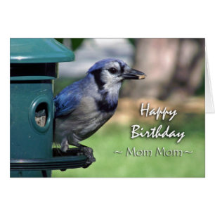 Birthday for Mom Mom, Blue Jay at Bird Feeder