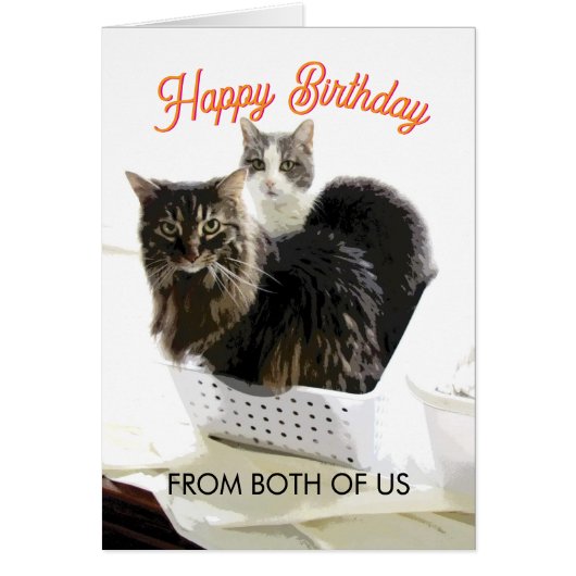Birthday From Both Of Us Cute Cat Art (Voorkant)