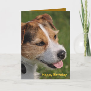 Birthday from the Dog Kaart