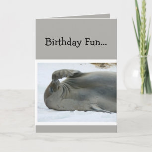 Birthday Fun Laughing Seal Age Humor Kaart
