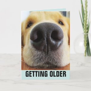 BIRTHDAY FUNNY DIE OUDERE DOG-WENSKAARTEN KRIJGT KAART