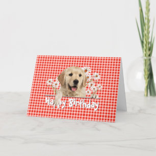 Birthday Golden Retriever op Gingham Kaart