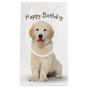 Birthday Golden Retriever puppy on White Klein Cadeauzakje