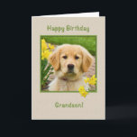 Birthday, Grandson, Golden Retriever Dog<br><div class="desc">Nothing says "love" more than the big brown eyes of a Golden Retriever pup. Add a few yellow daffodils and you have a way to wish someone a happy birthday. Feel free to change the inside verses to suit your needs.</div>