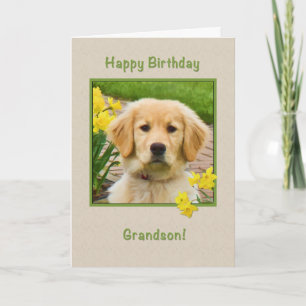 Birthday, Grandson, Golden Retriever Dog Kaart