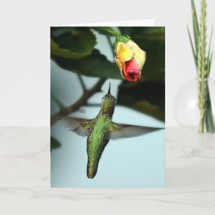Birthday Greetings Hummingbird Kaart