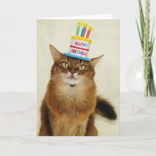 Birthday Hat Somali Cat Feestdagen Kaart (Voorkant)