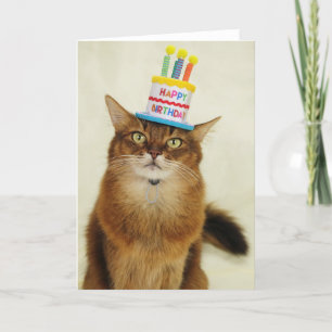 Birthday Hat Somali Cat Feestdagen Kaart