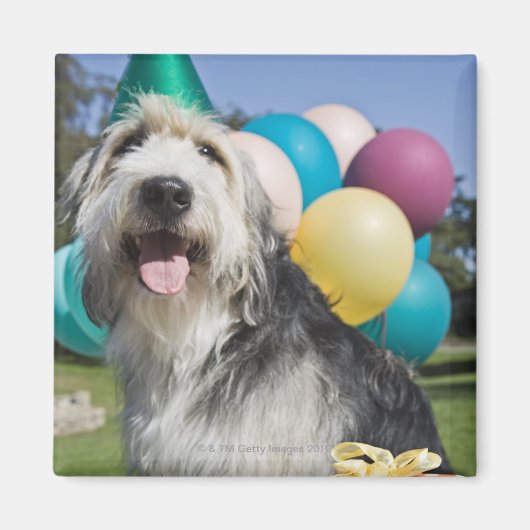 Birthday hond magneet (Voorkant)