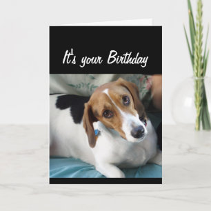 'Birthday'-Humor eet niet alles wat Cute Dog doet  Kaart