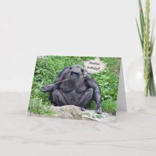 Birthday humor met chimpansee kaart