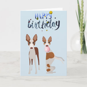 Birthday Ibizan Hound Dog Animal Bubble Gum Kaart