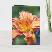 Birthday Kaart (Achterkant)