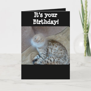 Birthday-kaart - Bengale kat Aankondiging