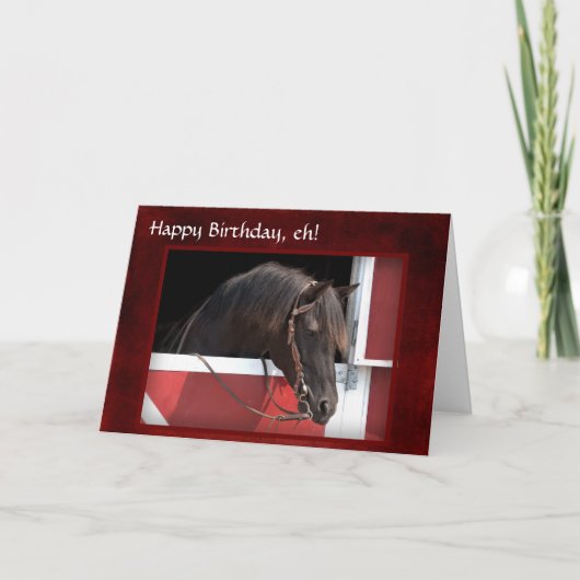 Birthday Kaart "Happy Birthday, eh" (Voorkant)