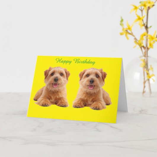  Birthday-kaart Kaart (Gele Bloem)