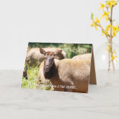 Birthday-kaart met elk kaart (Gele Bloem)