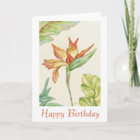 Birthday Kaart van de Paradijsvogel