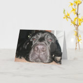 Birthday Lab Kaart (Gele Bloem)