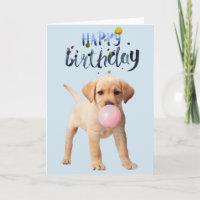 Birthday Labrador Retriever Puppy Dog