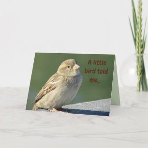 Birthday Little Bird Told me Natuur Cute Animal Kaart