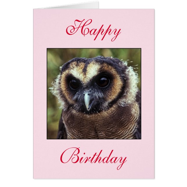 Birthday Owl Wenskaart (Voorkant)