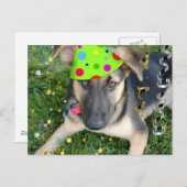 Birthday Party Animal German Shepherd Briefkaart (Voorkant / Achterkant)