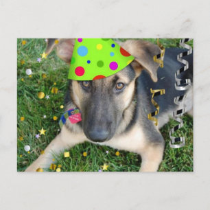 Birthday Party Animal German Shepherd Briefkaart