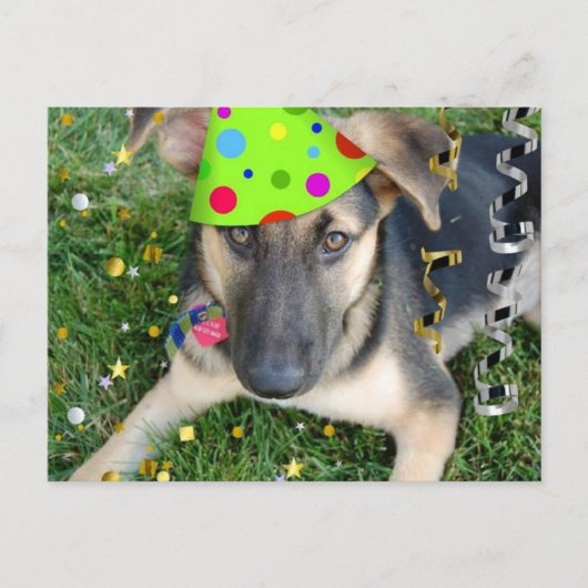 Birthday Party Animal German Shepherd Briefkaart (Voorkant)