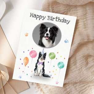Birthday Party Border Collie Dog Animal Kaart