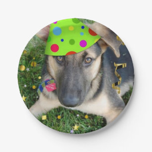 Birthday Party German Shepherd Papieren Bordje