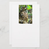 Birthday Party Giraffe Briefpapier (Voorkant / Achterkant)