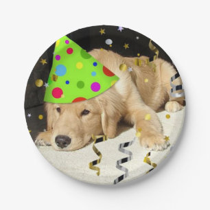 Birthday Party Golden Retriever Papieren Bordje