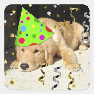 Birthday Party Golden Retriever Vierkante Sticker