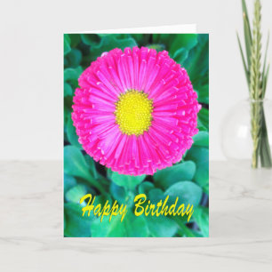 Birthday Pink & Yellow Flower Kaart
