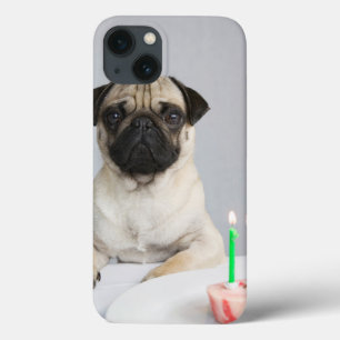 Birthday Pug iPhone 13 Hoesje
