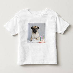 Birthday Pug Kinder Shirts