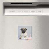 Birthday Pug Magneet (Insitu (Vaatwasser))
