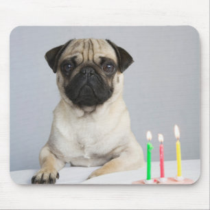 Birthday Pug Muismat